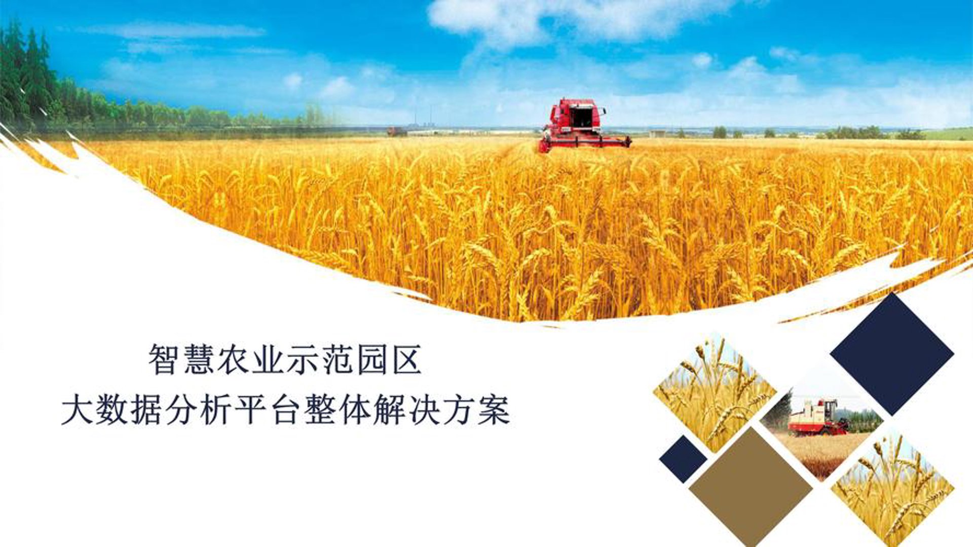 如何高效选择税务筹划服务：一份选购指南